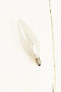 40W Replacement Light Bulb - Warm boho Lighting Solution