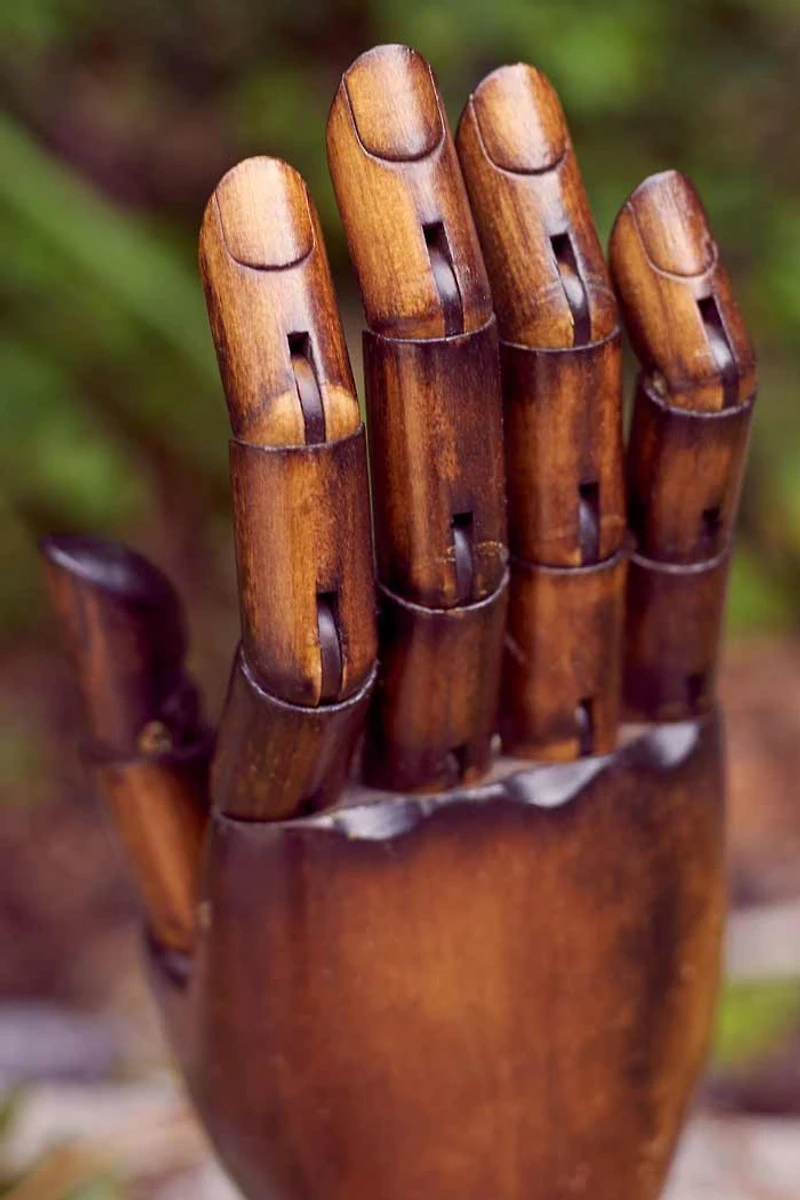 Buy Lotus Wood Artist Hand Online at Earthbound Trading