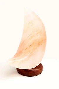 Buy Crescent Moon Himalayan Salt Lamp Online at Earthbound Trading