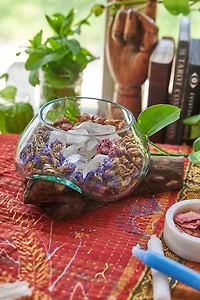 Buy Small Rootwood Vase Online at Earthbound Trading