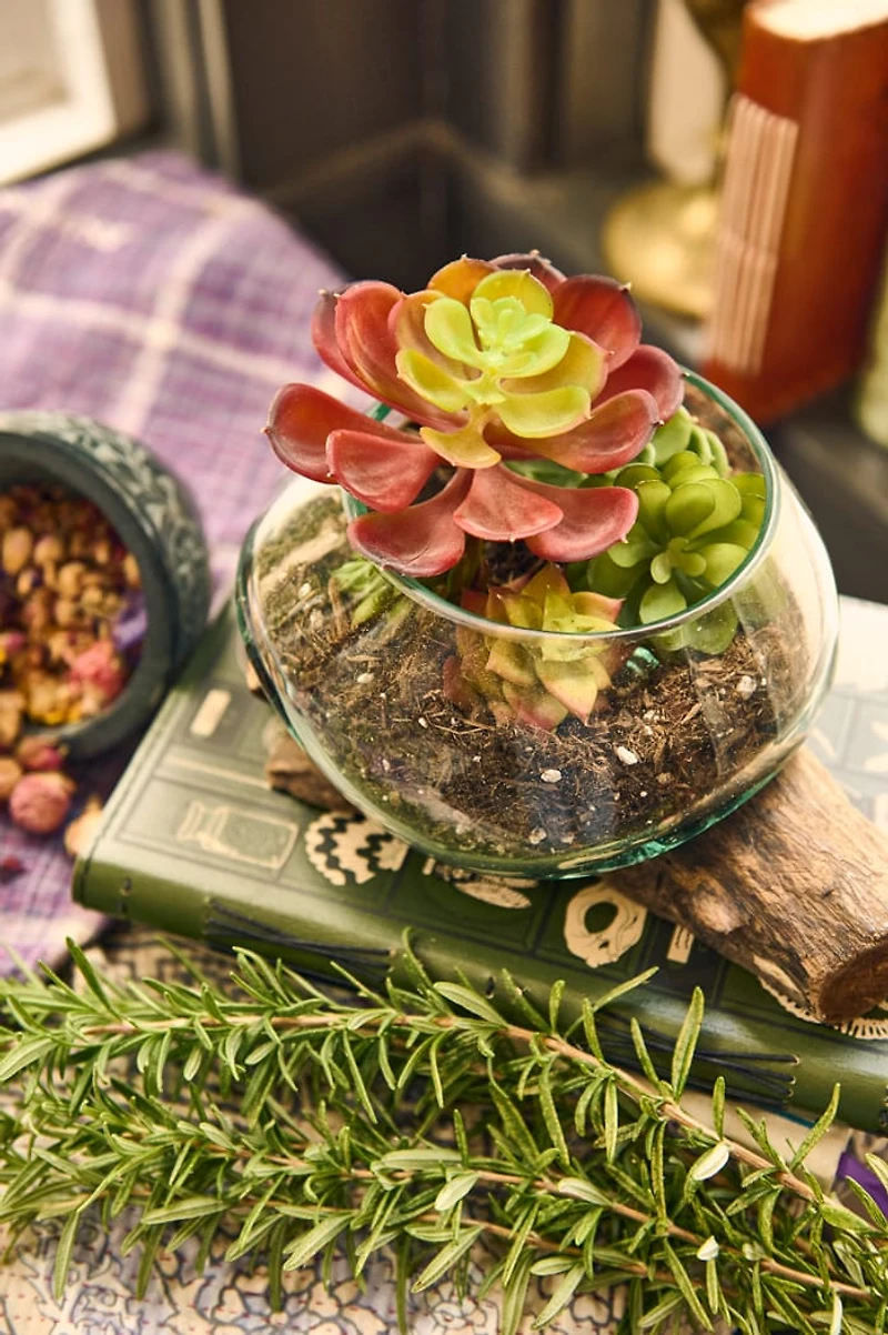 Buy Small Rootwood Vase Online at Earthbound Trading
