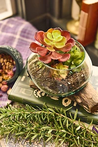 Buy Small Rootwood Vase Online at Earthbound Trading