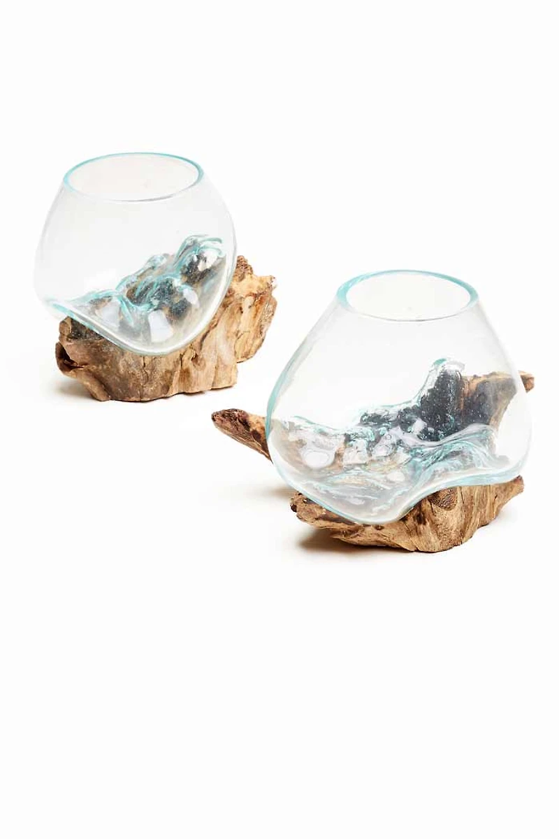 Buy Small Rootwood Vase Online at Earthbound Trading