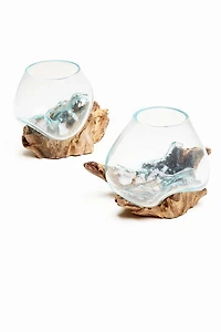 Buy Small Rootwood Vase Online at Earthbound Trading