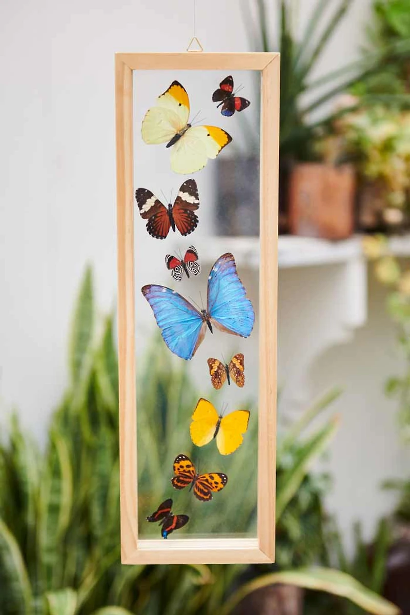 Buy Trail of Butterflies Frame  Online at Earthbound Trading