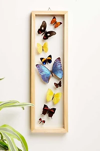 Buy Trail of Butterflies Frame  Online at Earthbound Trading