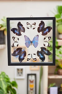 Buy Mandala Butterfly Frame  Online at Earthbound Trading