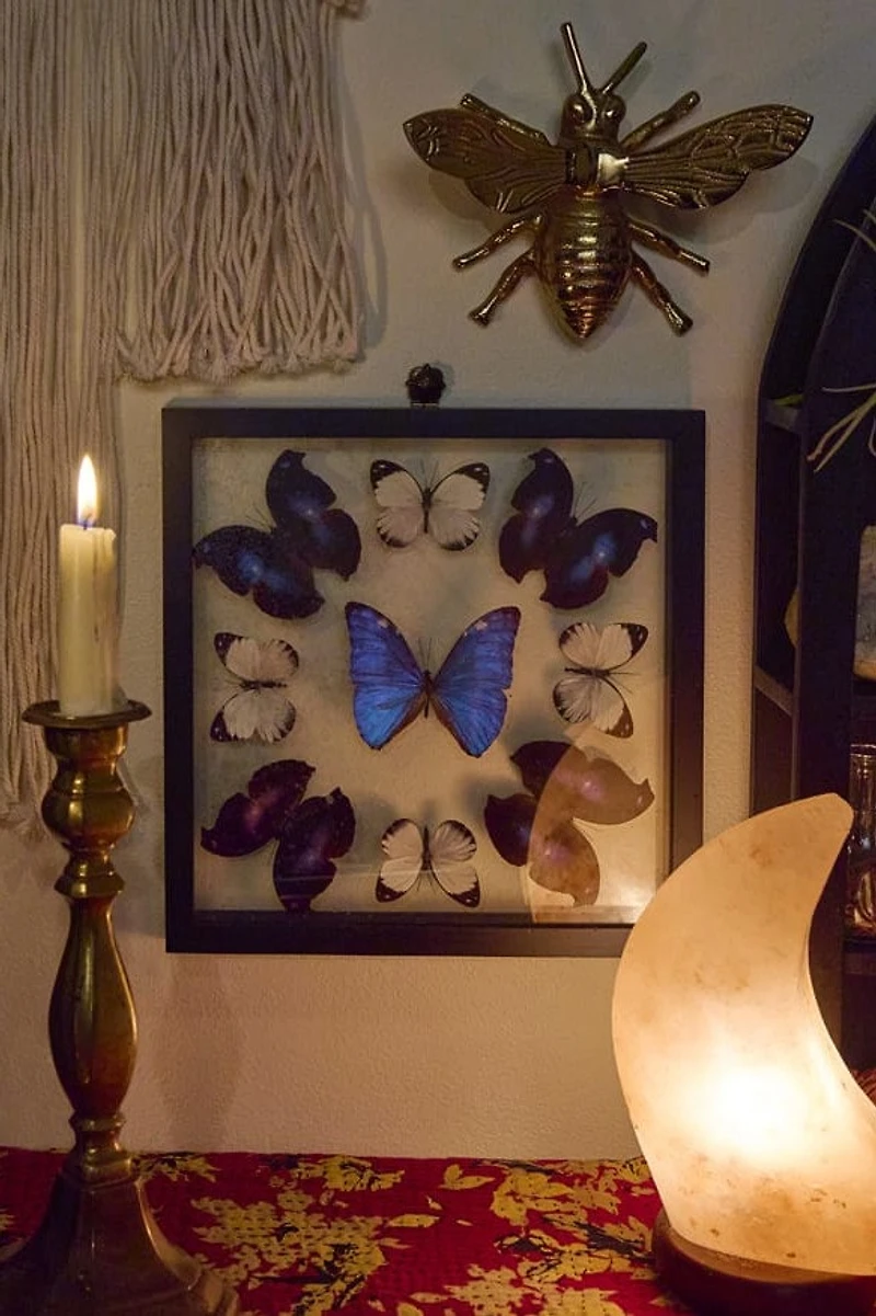 Mandala Butterfly Frame