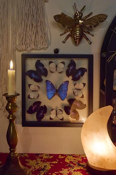 Mandala Butterfly Frame