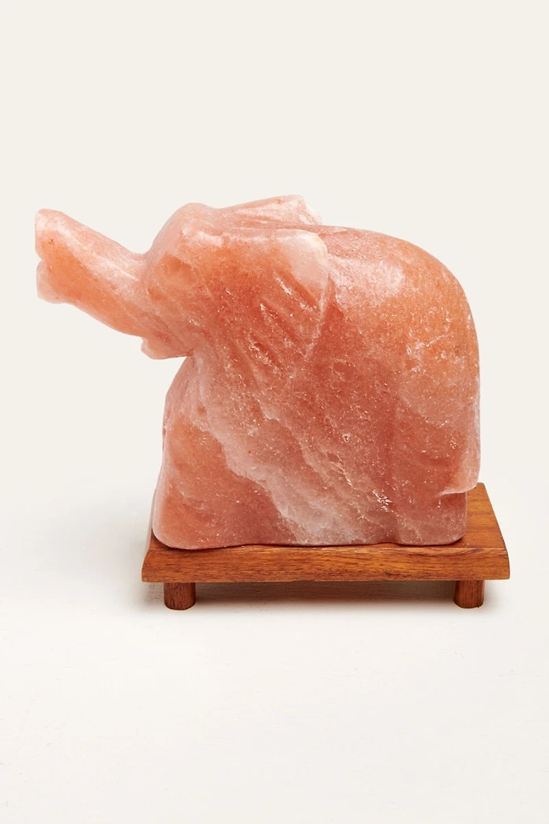 Buy Elephant Himalayan Salt Lamp Online at Earthbound Trading