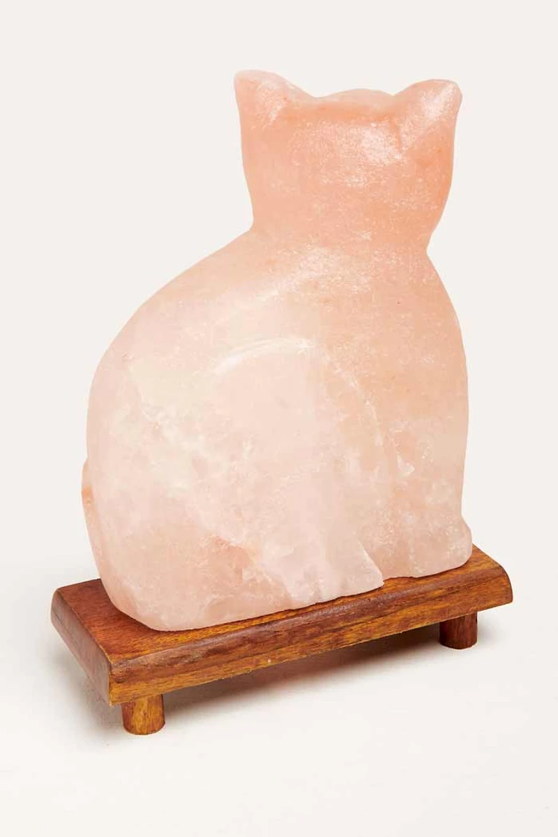 Buy Cat Shaped Salt Lamp Online at Earthbound Trading