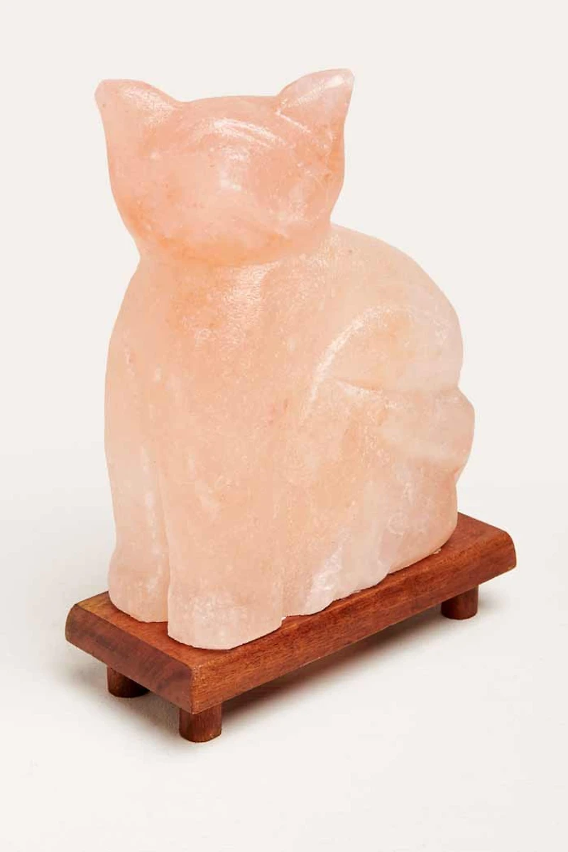 Buy Cat Shaped Salt Lamp Online at Earthbound Trading
