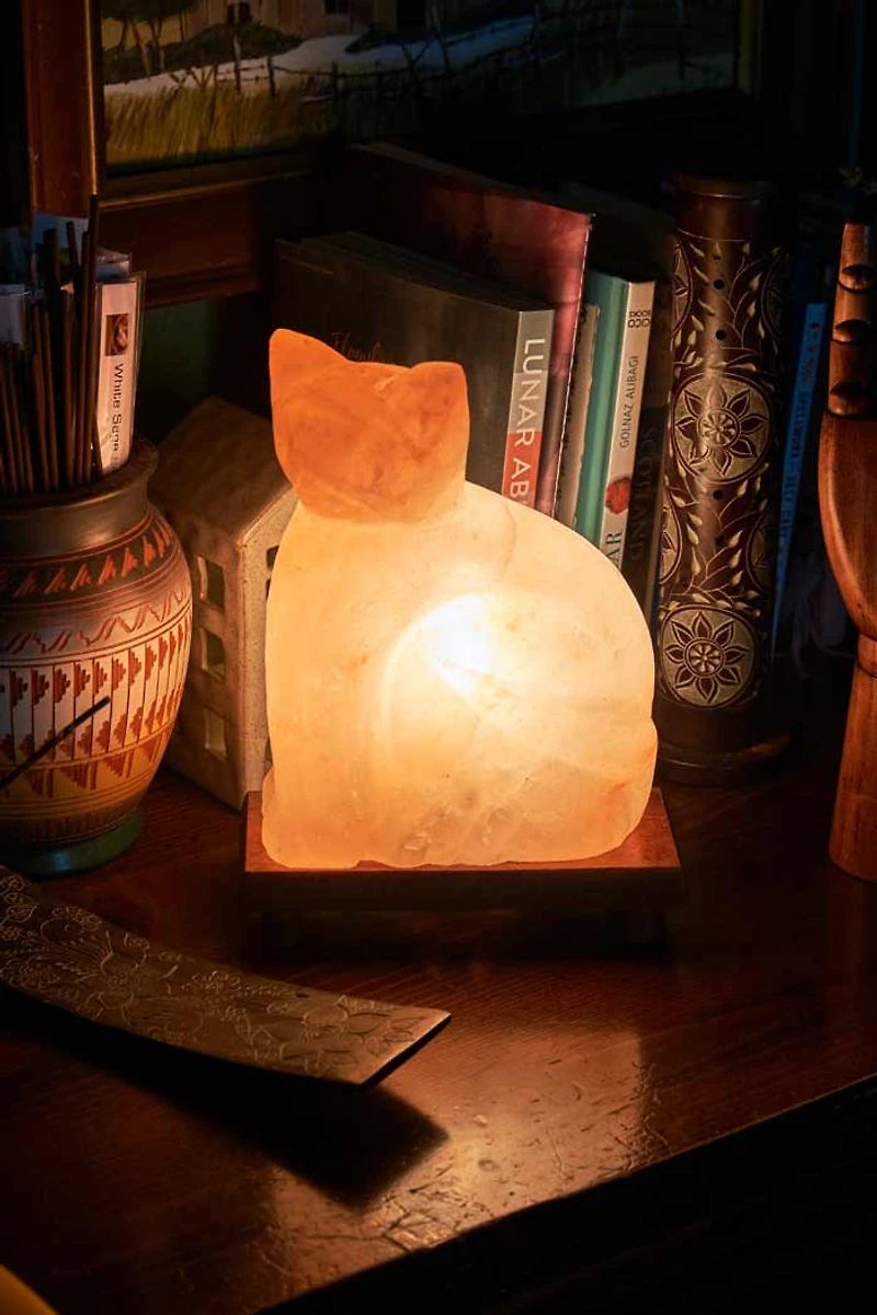 Buy Cat Shaped Salt Lamp Online at Earthbound Trading