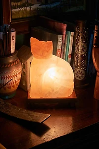 Buy Cat Shaped Salt Lamp Online at Earthbound Trading