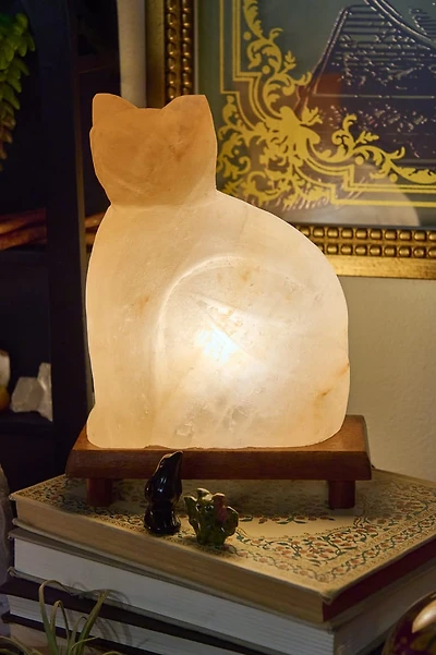 Cat Shaped Salt Lamp