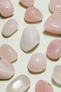 Buy Rose Quartz Tumbled Stone  Online at Earthbound Trading