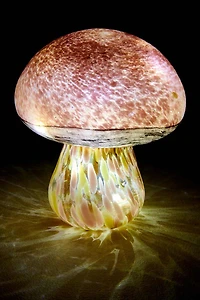 Iridescent Mushroom Lamp