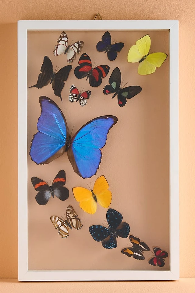 Buy Butterfly Wall Art | Boho 14 Butterflies Framed Print - Shop Now