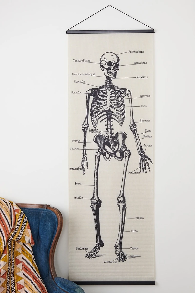 Skeleton Chart Wall Decor