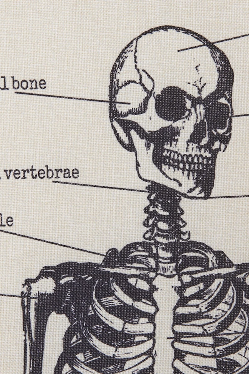 Skeleton Chart Wall Decor