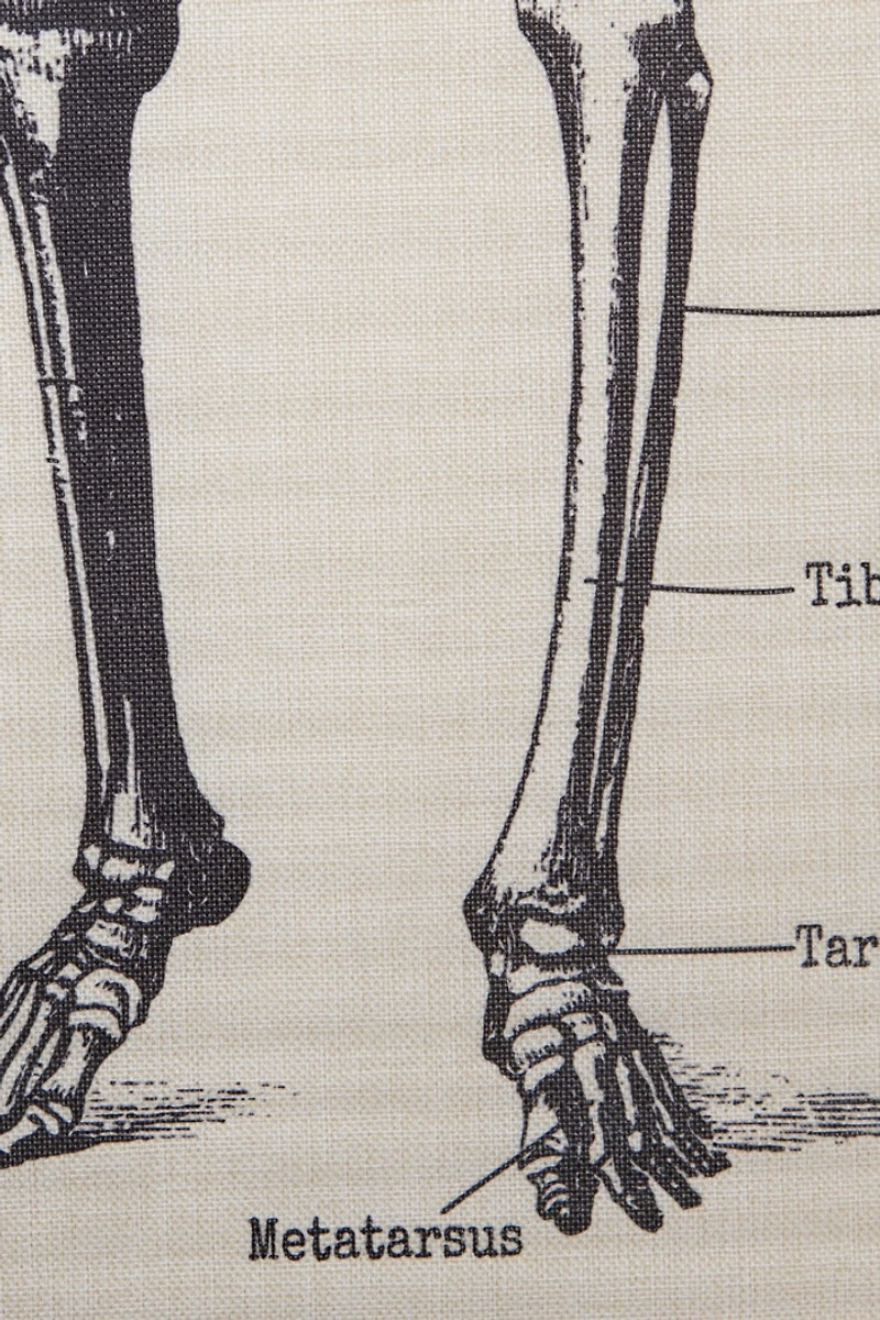 Skeleton Chart Wall Decor