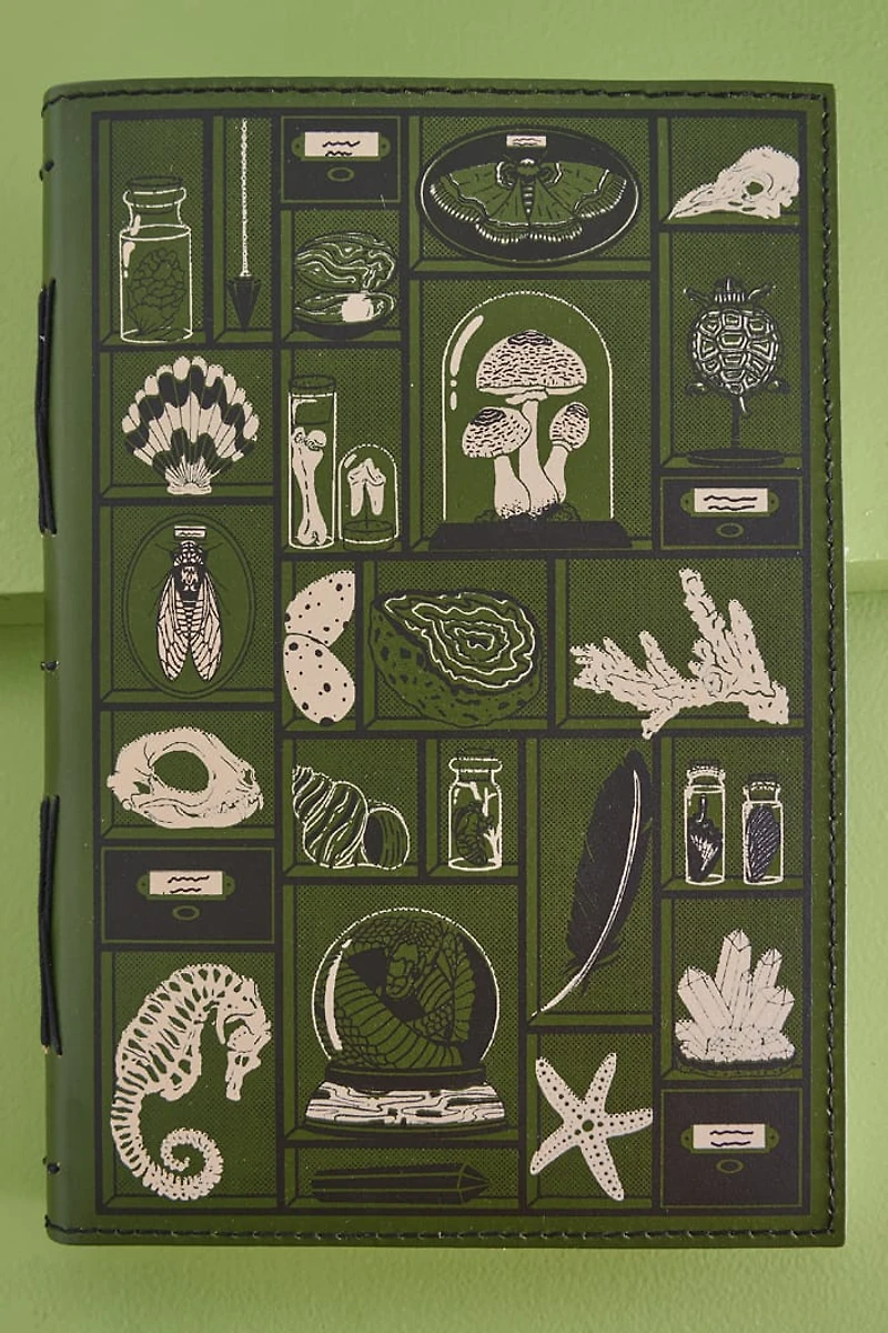 Curio Cabinet Medium Leather Journal (EB Exclusive)