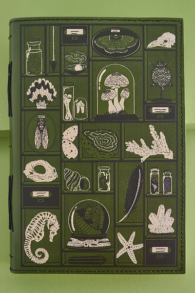 Curio Cabinet Medium Leather Journal (EB Exclusive)