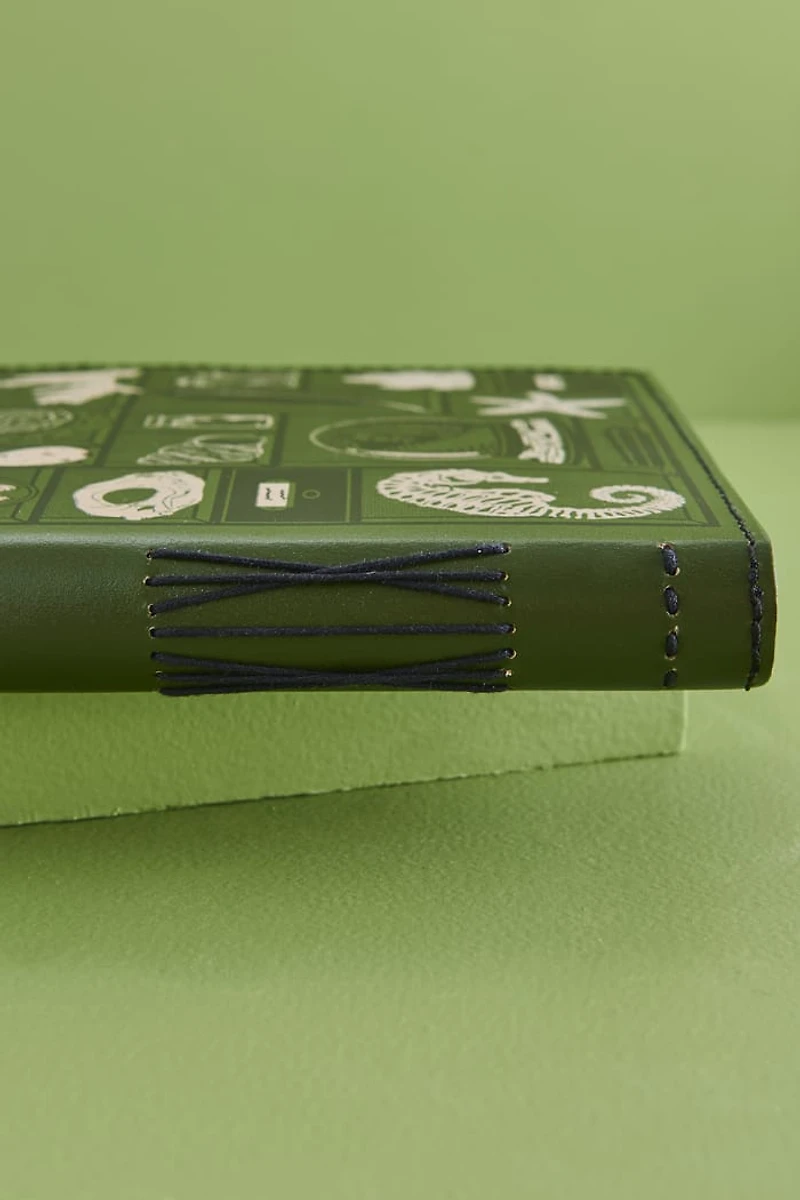 Curio Cabinet Medium Leather Journal (EB Exclusive)