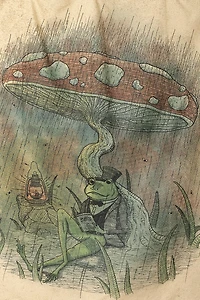 EBX Toadally Tranquil Small Tapestry