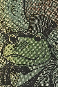 EBX Toadally Tranquil Small Tapestry