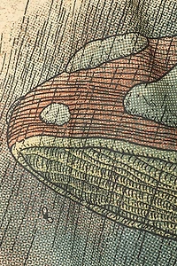 EBX Toadally Tranquil Small Tapestry