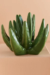Green Succulent Plant Ring Holder