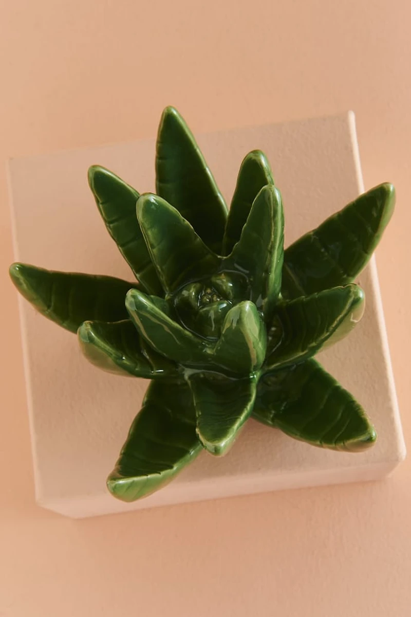 Green Succulent Plant Ring Holder