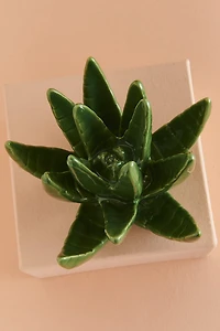 Green Succulent Plant Ring Holder