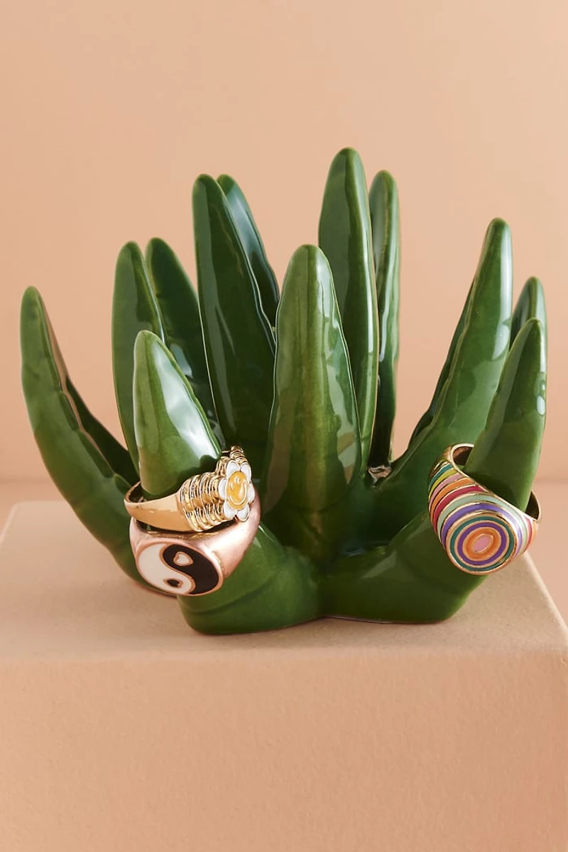 Green Succulent Plant Ring Holder