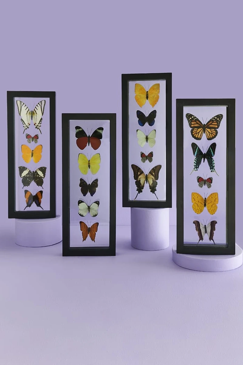 Decorate with Five Black Framed Butterflies – Boho Wall Art!