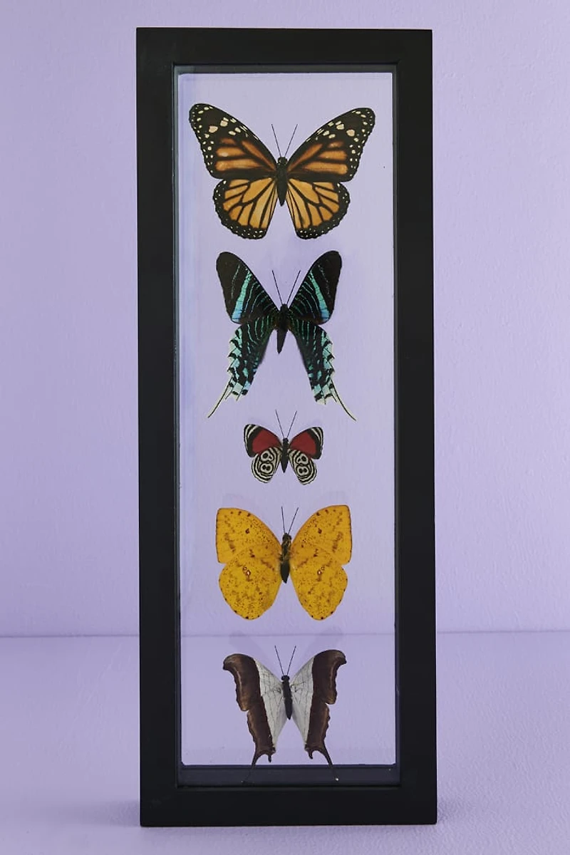 Decorate with Five Black Framed Butterflies – Boho Wall Art!