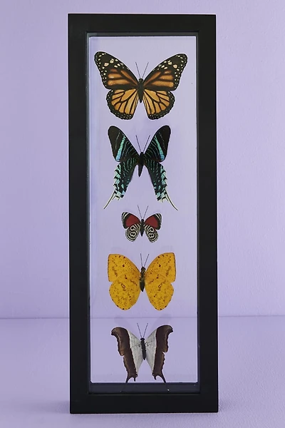 Decorate with Five Black Framed Butterflies – Boho Wall Art!
