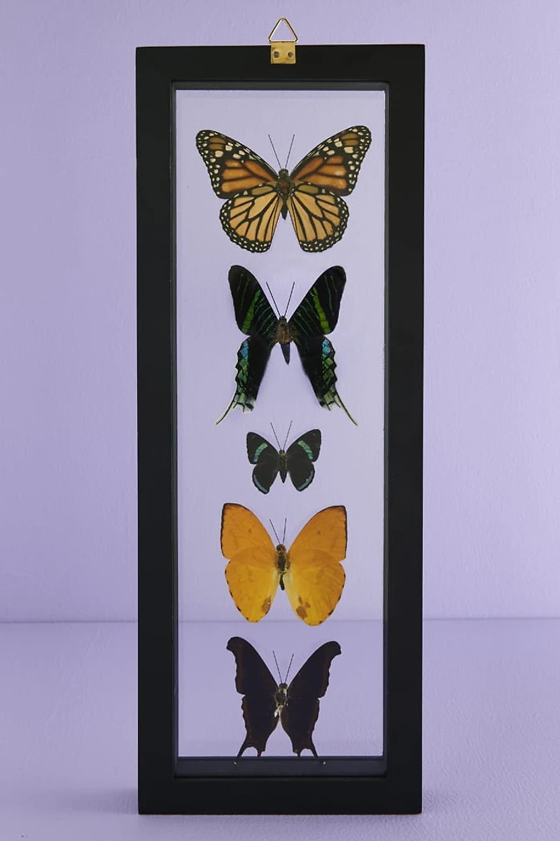 Decorate with Five Black Framed Butterflies – Boho Wall Art!