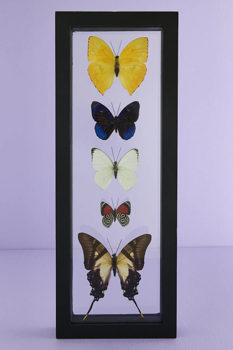 Decorate with Five Black Framed Butterflies – Boho Wall Art!