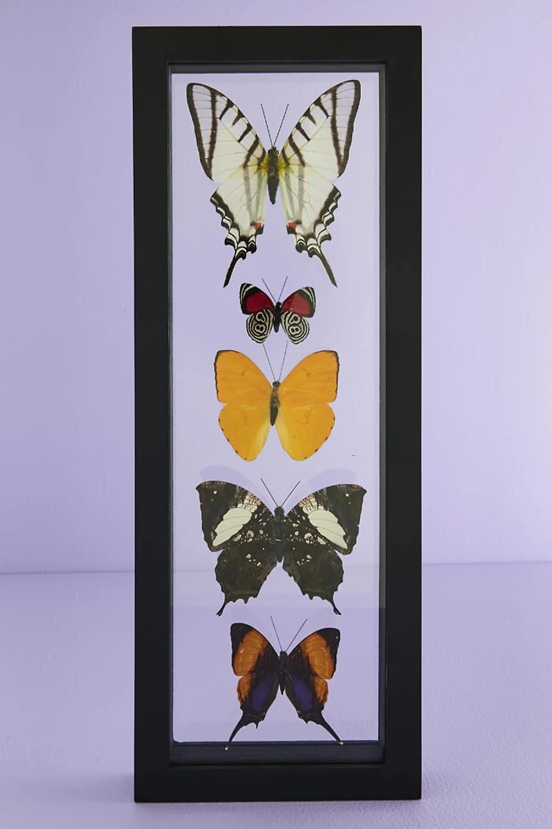 Decorate with Five Black Framed Butterflies – Boho Wall Art!