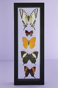 Decorate with Five Black Framed Butterflies – Boho Wall Art!