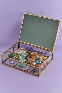Buy Green Mushroom Glass Keepsake Box Online at Earthbound Trading