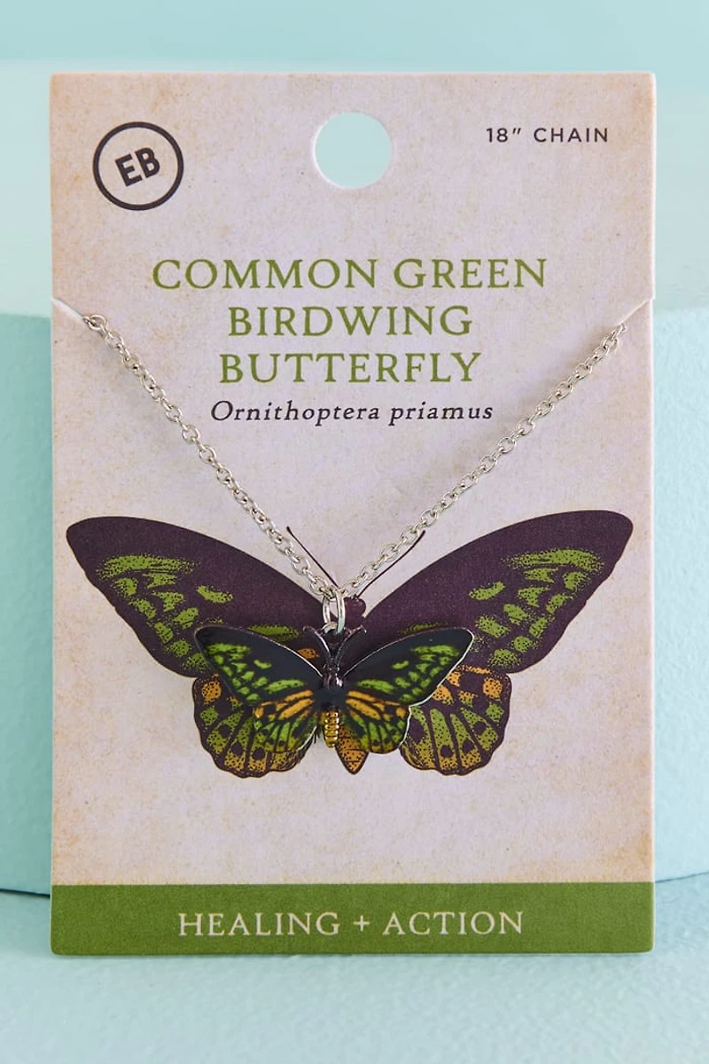 Shop Common Green Birdwing (Ornithoptera Priamus) Butterfly boho Necklace