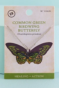 Shop Common Green Birdwing (Ornithoptera Priamus) Butterfly boho Necklace