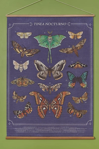 Buy EBX Lunar Moth Wall Banner Online at Earthbound Trading