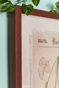 Buy Strawberry Framed Wall Art Online at Earthbound Trading