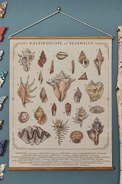EBX Sea Shells Wall Art Banner