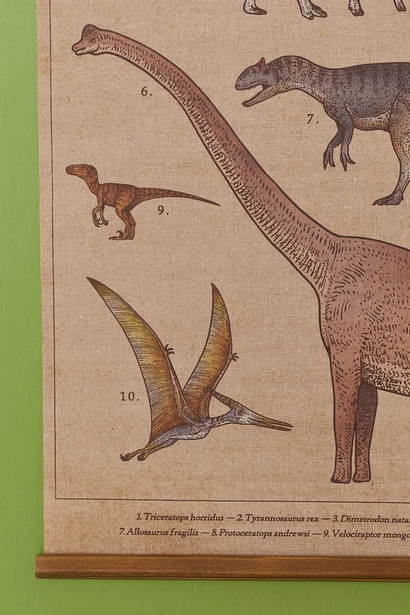 Buy EBX Dinosaurs Wall Art Banner Online at Earthbound Trading