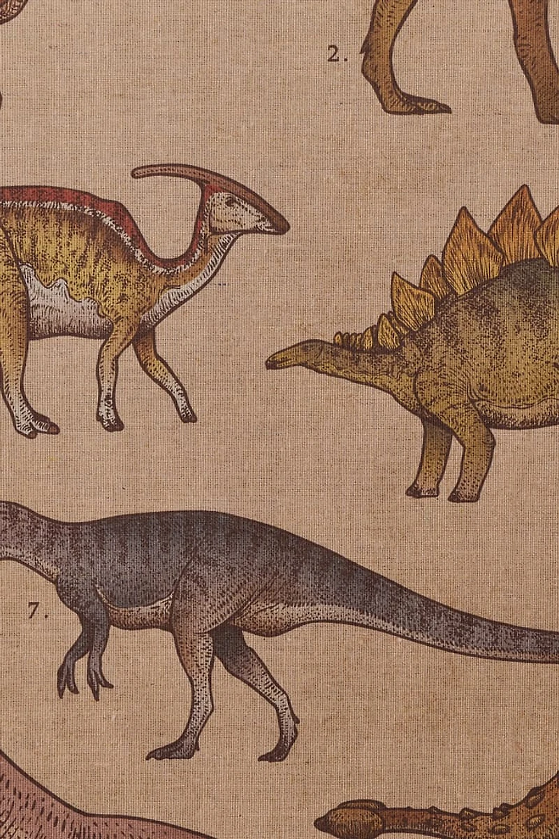 Buy EBX Dinosaurs Wall Art Banner Online at Earthbound Trading